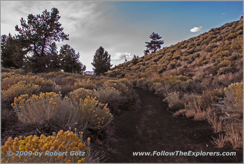 Tree Molds Trail, Craters of the Moon NM, ID
