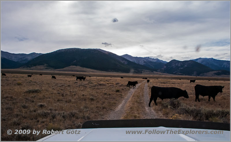 Birch Creek Valley, ID