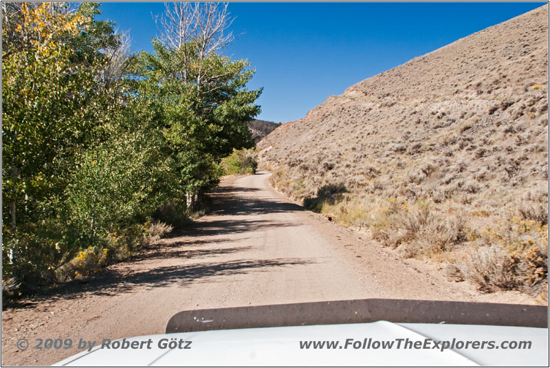 Bloody Dick Rd, MT Bloody Dick Rd, MT