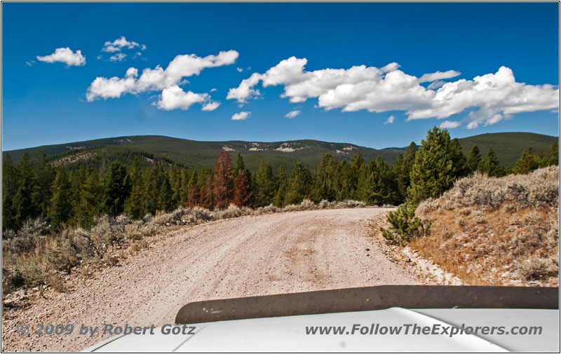 FR181/Bloody Dick Rd, MT FR181/Bloody Dick Rd, MT