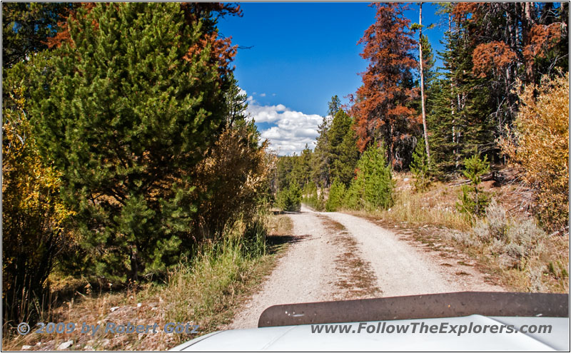 Bloody Dick Rd, MT Bloody Dick Rd, MT