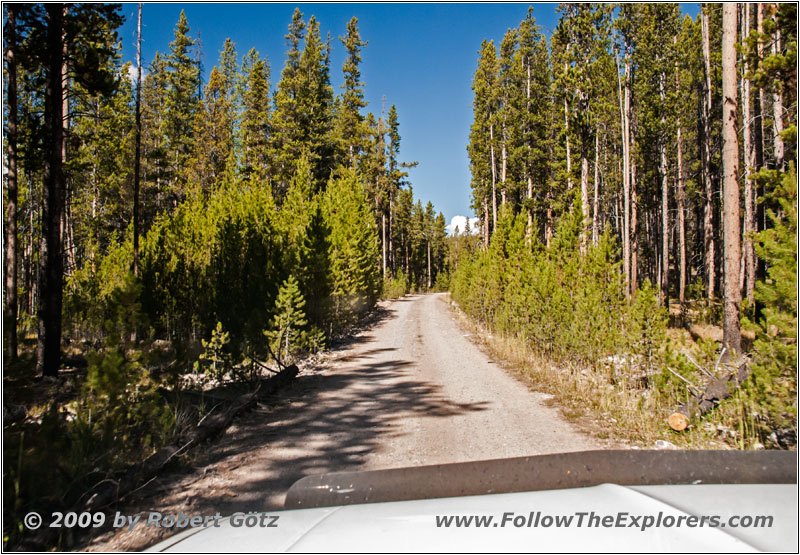 Bloody Dick Rd, MT Bloody Dick Rd, MT