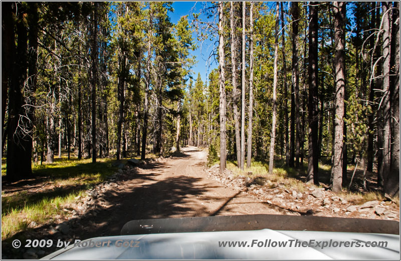 Bloody Dick Rd, MT Bloody Dick Rd, MT