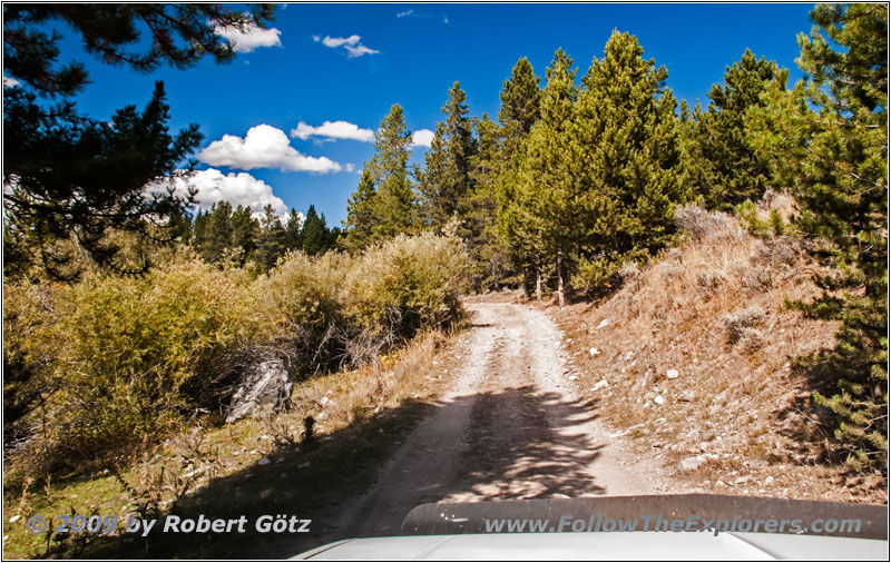 Berry Creek Rd, MT Berry Creek Rd, MT
