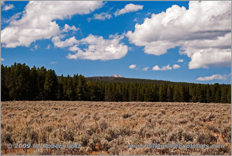 Berry Creek Rd, MT Berry Creek Rd, MT