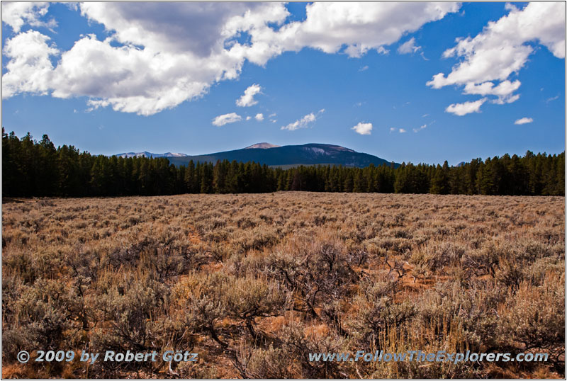 Berry Creek Rd, MT Berry Creek Rd, MT
