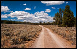 Berry Creek Rd, MT
