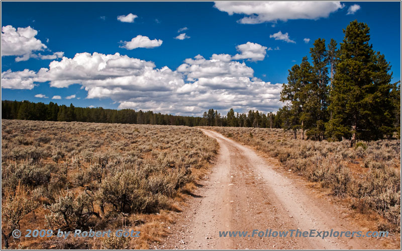 Berry Creek Rd, MT Berry Creek Rd, MT