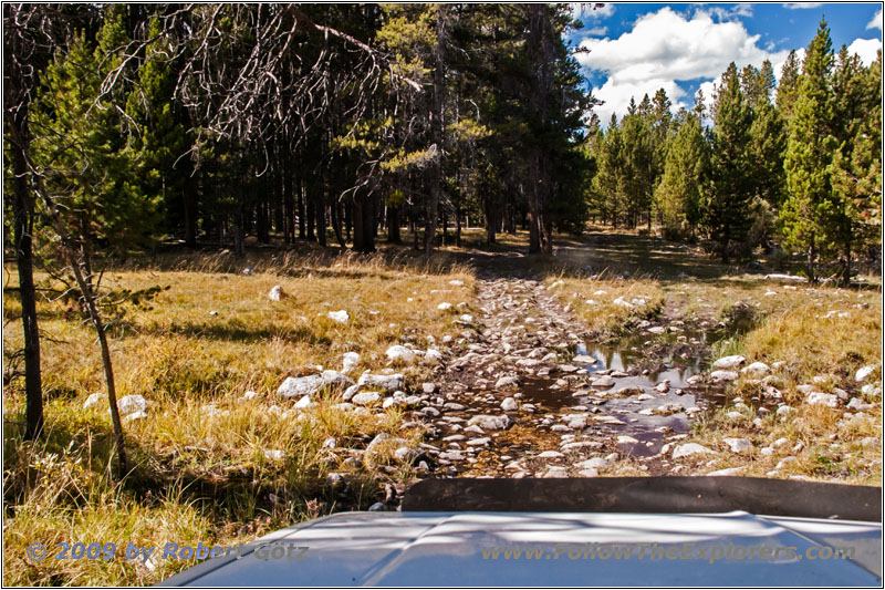 Berry Creek Rd, MT Berry Creek Rd, MT