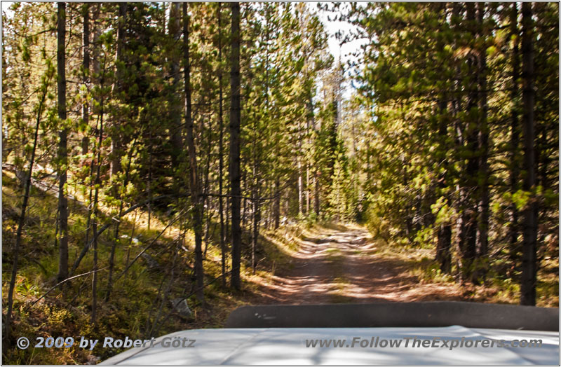 Berry Creek Rd, MT Berry Creek Rd, MT