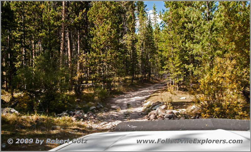 Berry Creek Rd, MT Berry Creek Rd, MT