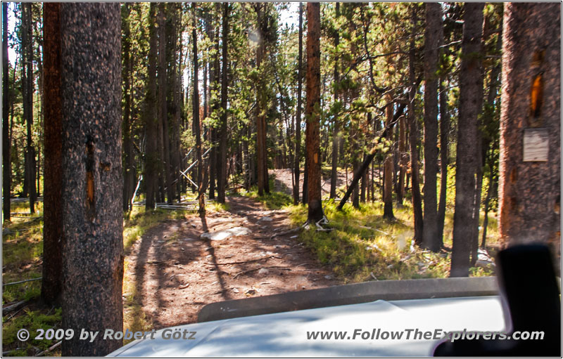 Berry Creek Rd, MT Berry Creek Rd, MT