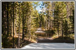Berry Creek Rd, Berry Creek, MT