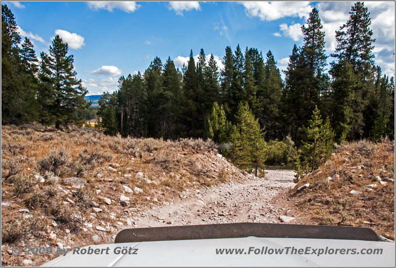 Berry Creek Rd, MT Berry Creek Rd, MT