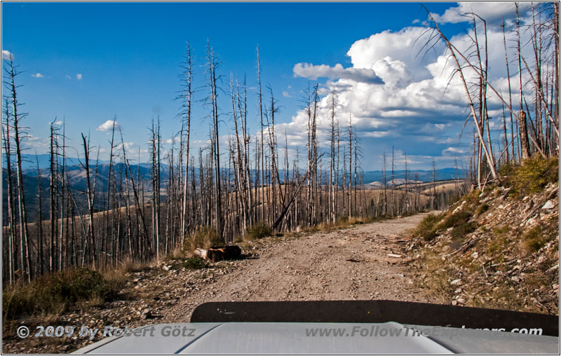 FR106/Bitterroot-Big Hole Rd, MT FR106/Bitterroot-Big Hole Rd, MT