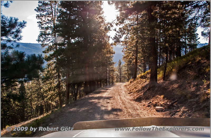 FR106/Bitterroot-Big Hole Rd, MT FR106/Bitterroot-Big Hole Rd, MT