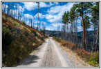 FR106/Bitterroot-Big Hole Rd, MT