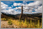 FR106/Bitterroot-Big Hole Rd, MT