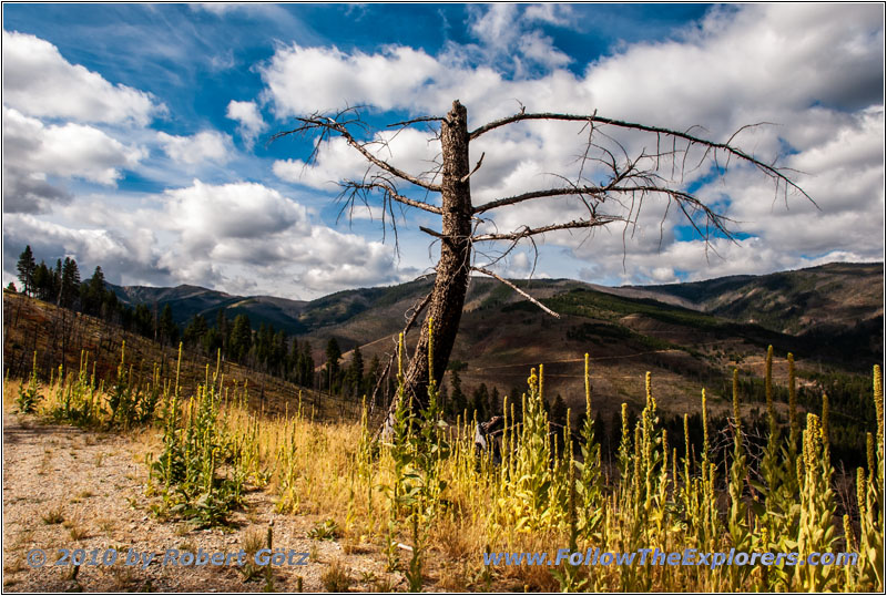 FR106/Bitterroot-Big Hole Rd, MT