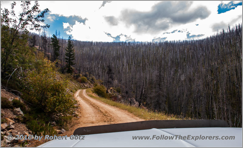 FR106/Bitterroot-Big Hole Rd, MT