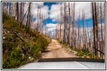 FR106/Bitterroot-Big Hole Rd, MT