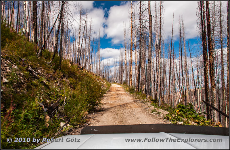 FR106/Bitterroot-Big Hole Rd, MT