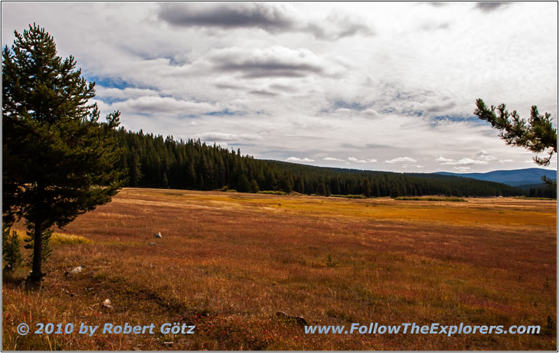 FR106/Bitterroot-Big Hole Rd, MT
