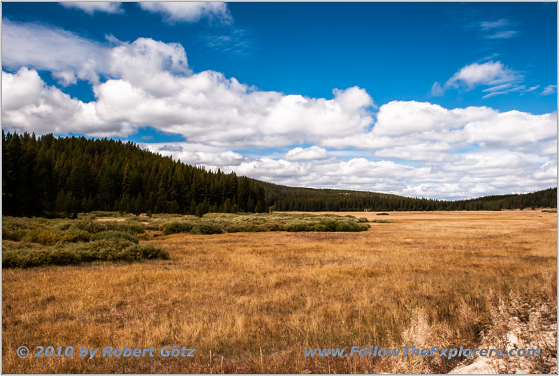 FR106/Bitterroot-Big Hole Rd, Trail Creek, MT