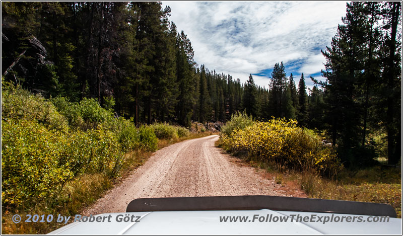 FR106/Bitterroot-Big Hole Rd, Trail Creek, MT
