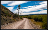 Skinner Meadows Rd, MT