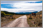 FR181/Skinner Meadows Rd, MT