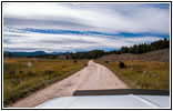 FR181/Skinner Meadows Rd, MT