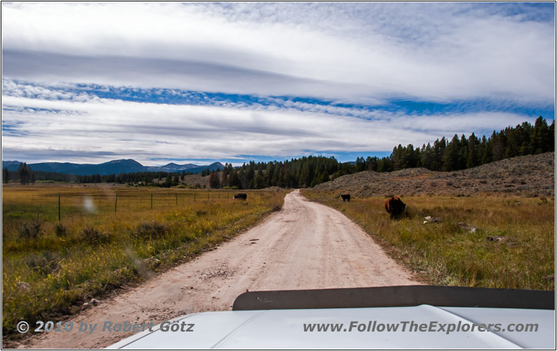 FR181/Skinner Meadows Rd, MT