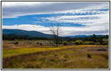 FR181/Skinner Meadows Rd, MT