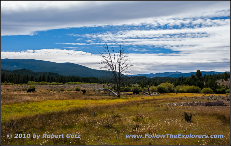 FR181/Skinner Meadows Rd, MT