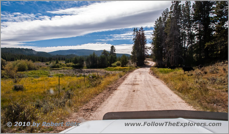 FR181/Skinner Meadows Rd, MT