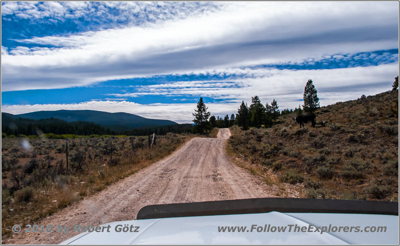 FR181/Skinner Meadows Rd, MT