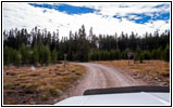 FR181/Bloody Dick Rd, MT