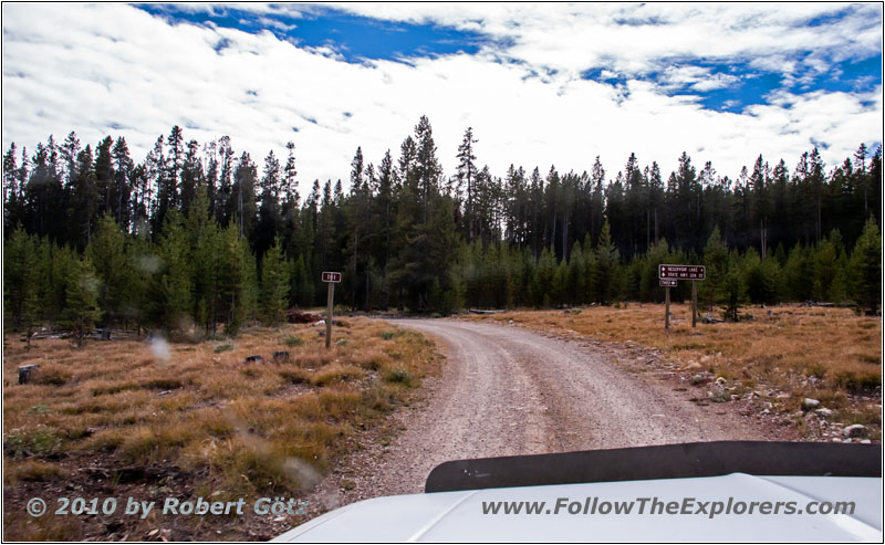 FR181/Bloody Dick Rd, MT
