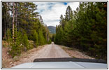 FR181/Bloody Dick Rd, MT