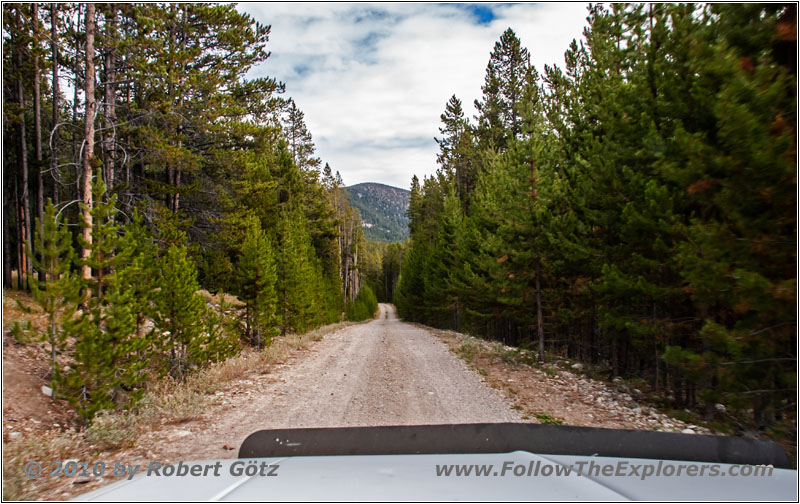 FR181/Bloody Dick Rd, MT