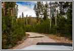 FR181/Bloody Dick Rd, MT