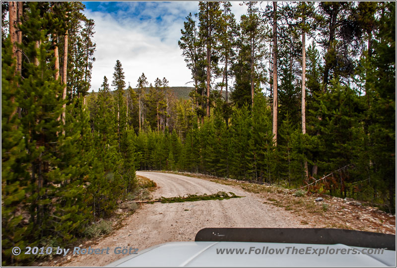 FR181/Bloody Dick Rd, MT