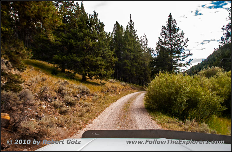 FR181/Bloody Dick Rd, MT