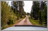 FR181/Bloody Dick Rd, MT
