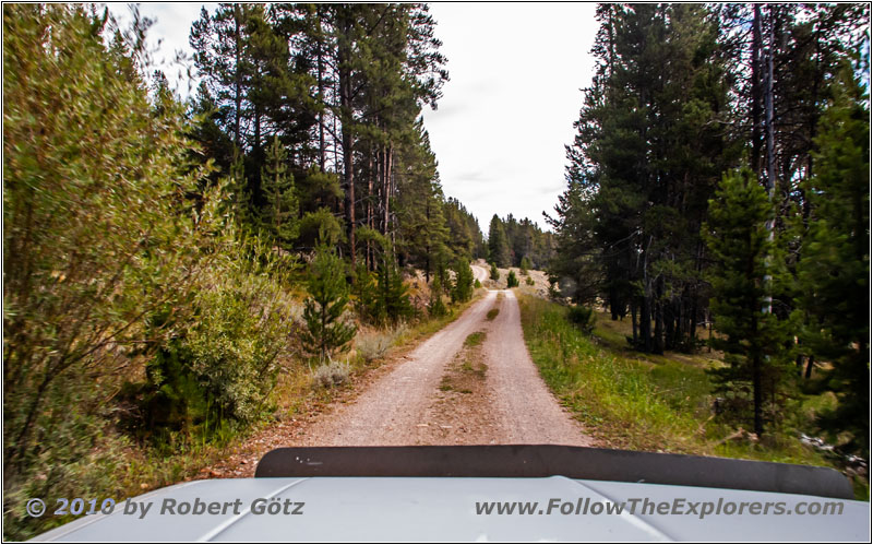 FR181/Bloody Dick Rd, MT