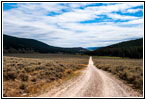 FR181/Bloody Dick Rd, MT