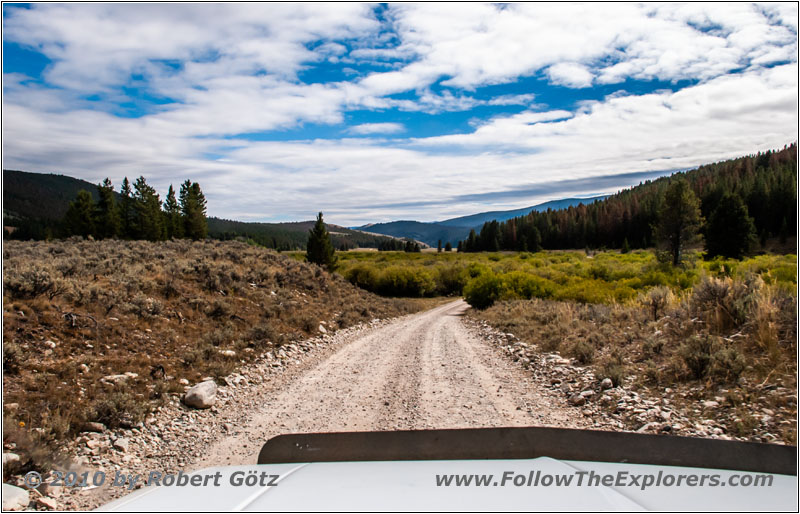 FR181/Bloody Dick Rd, MT