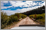 FR181/Bloody Dick Rd, MT