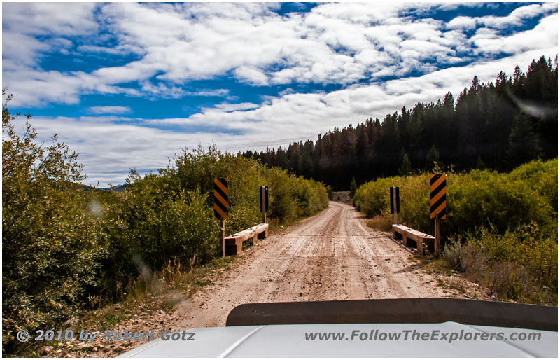 FR181/Bloody Dick Rd, MT